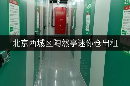 北京西城区陶然亭迷你仓出租,货物存放更省心解决方案 北京西城区陶然亭迷你仓出租,货物存放更省心解决方案