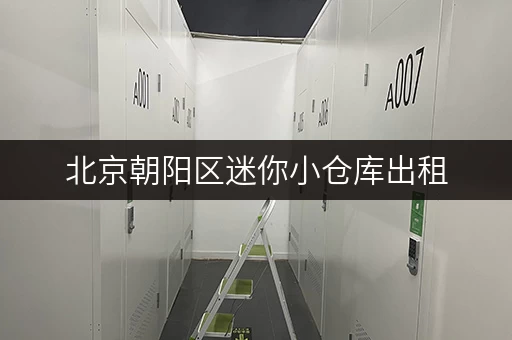 北京朝阳区迷你小仓库出租,随存随取,生活更便捷 北京朝阳区迷你小仓库出租,随存随取,生活更便捷