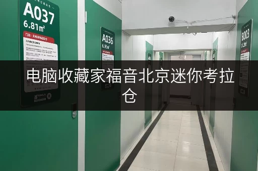 电脑收藏家福音北京迷你考拉仓,电脑仓库出租价格全攻略,家庭空间释放新境界 电脑收藏家福音北京迷你考拉仓,电脑仓库出租价格全攻略,家庭空间释放新境界