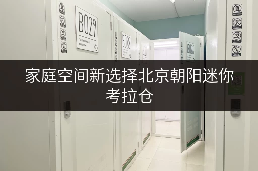家庭空间新选择北京朝阳迷你考拉仓,释放空间,提升生活品质 家庭空间新选择北京朝阳迷你考拉仓,释放空间,提升生活品质