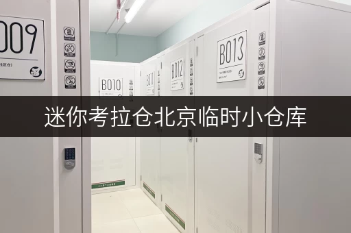 迷你考拉仓北京临时小仓库,告别杂物乱放烦恼,存储方案更省心 迷你考拉仓北京临时小仓库,告别杂物乱放烦恼,存储方案更省心