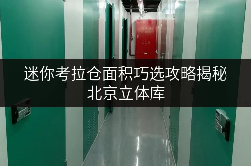迷你考拉仓面积巧选攻略揭秘北京立体库,为你的空间扩容助力! 迷你考拉仓面积巧选攻略揭秘北京立体库,为你的空间扩容助力!