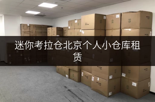迷你考拉仓北京个人小仓库租赁,搬家装修临时存储攻略 迷你考拉仓北京个人小仓库租赁,搬家装修临时存储攻略