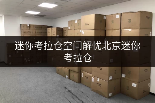 迷你考拉仓空间解忧北京迷你考拉仓,揭秘如何挑选合适面积,告别收纳难题 迷你考拉仓空间解忧北京迷你考拉仓,揭秘如何挑选合适面积,告别收纳难题