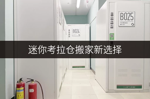 迷你考拉仓搬家新选择,安全无忧——北京迷你考拉仓,搬家过渡期安全储存全攻略 迷你考拉仓搬家新选择,安全无忧——北京迷你考拉仓,搬家过渡期安全储存全攻略