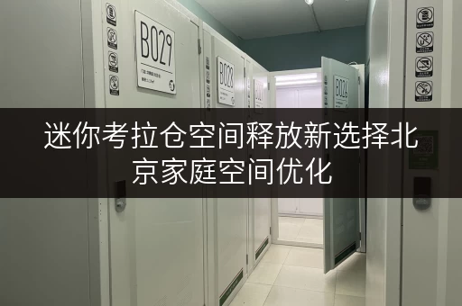 迷你考拉仓空间释放新选择北京家庭空间优化,迷你考拉仓助您提升生活品质 迷你考拉仓空间释放新选择北京家庭空间优化,迷你考拉仓助您提升生活品质