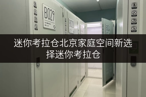 迷你考拉仓北京家庭空间新选择迷你考拉仓,释放家居品质新高度 迷你考拉仓北京家庭空间新选择迷你考拉仓,释放家居品质新高度