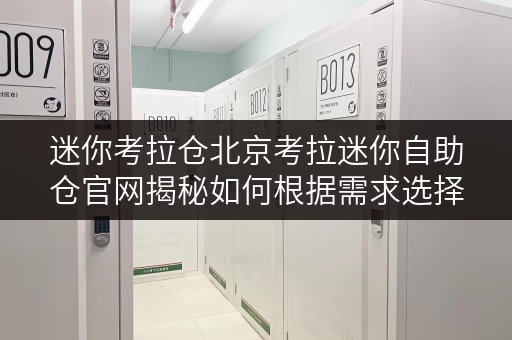 迷你考拉仓北京考拉迷你自助仓官网揭秘如何根据需求选择合适面积