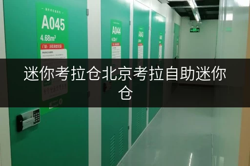 迷你考拉仓北京考拉自助迷你仓,打造随存随取的便捷生活新选择 迷你考拉仓北京考拉自助迷你仓,打造随存随取的便捷生活新选择
