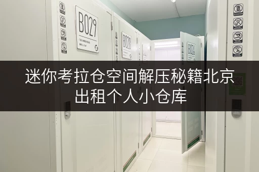 迷你考拉仓空间解压秘籍北京出租个人小仓库,解锁家庭空间新境界 迷你考拉仓空间解压秘籍北京出租个人小仓库,解锁家庭空间新境界