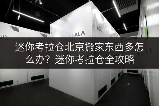 迷你考拉仓北京搬家东西多怎么办?迷你考拉仓全攻略 迷你考拉仓北京搬家东西多怎么办?迷你考拉仓全攻略