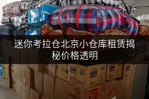 迷你考拉仓北京小仓库租赁揭秘价格透明，教你省钱小技巧！