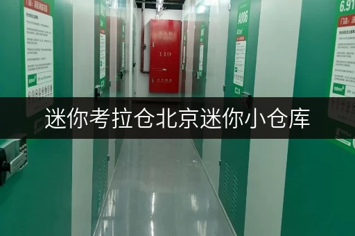 迷你考拉仓北京迷你小仓库,释放办公空间新思路 迷你考拉仓北京迷你小仓库,释放办公空间新思路