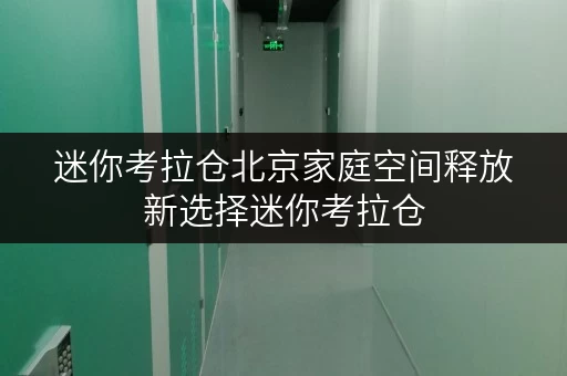 迷你考拉仓北京家庭空间释放新选择迷你考拉仓,价格透明,品质升级 迷你考拉仓北京家庭空间释放新选择迷你考拉仓,价格透明,品质升级