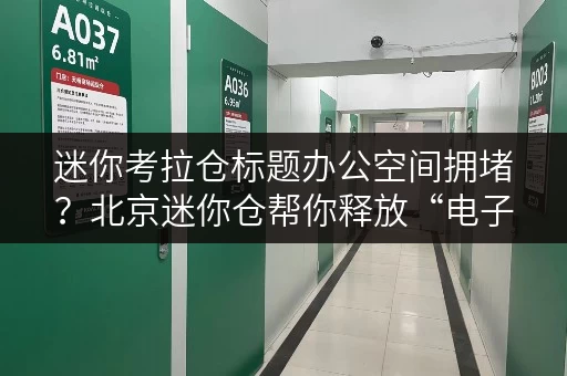迷你考拉仓标题办公空间拥堵?北京迷你仓帮你释放“电子战场”! 迷你考拉仓标题办公空间拥堵?北京迷你仓帮你释放“电子战场”!