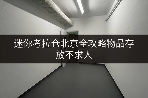 迷你考拉仓北京全攻略物品存放不求人,迷你考拉仓为您提供省心存储方案 迷你考拉仓北京全攻略物品存放不求人,迷你考拉仓为您提供省心存储方案