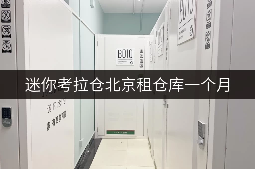 迷你考拉仓北京租仓库一个月,迷你考拉仓为您解锁省心存储新选择 迷你考拉仓北京租仓库一个月,迷你考拉仓为您解锁省心存储新选择