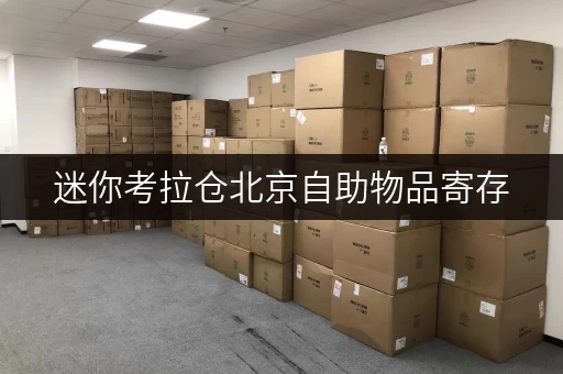 迷你考拉仓北京自助物品寄存,告别空间焦虑,释放生活新空间 迷你考拉仓北京自助物品寄存,告别空间焦虑,释放生活新空间