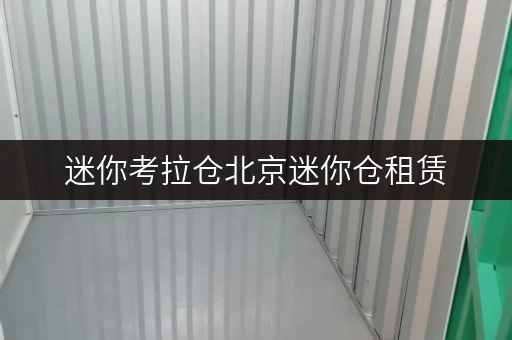 迷你考拉仓北京迷你仓租赁,月费几何?面积选择全攻略 迷你考拉仓北京迷你仓租赁,月费几何?面积选择全攻略
