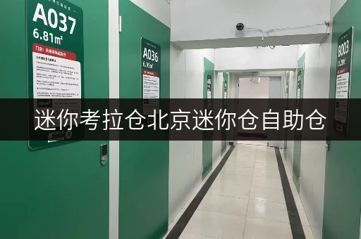 迷你考拉仓北京迷你仓自助仓,办公空间释放新方案 迷你考拉仓北京迷你仓自助仓,办公空间释放新方案