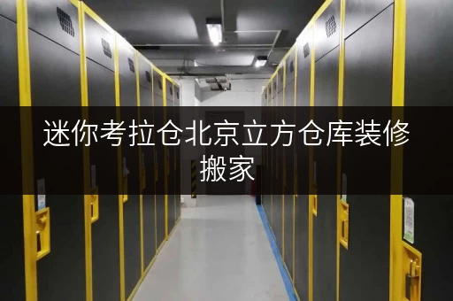 迷你考拉仓北京立方仓库装修搬家,临时存储不求人 迷你考拉仓北京立方仓库装修搬家,临时存储不求人