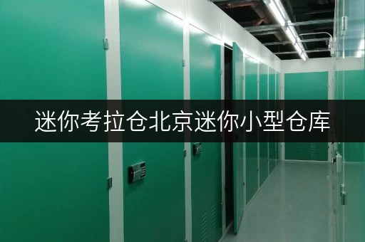 迷你考拉仓北京迷你小型仓库,释放办公空间新选择 迷你考拉仓北京迷你小型仓库,释放办公空间新选择