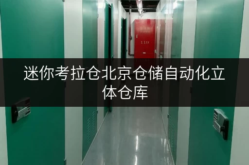 迷你考拉仓北京仓储自动化立体仓库，随存随取新体验