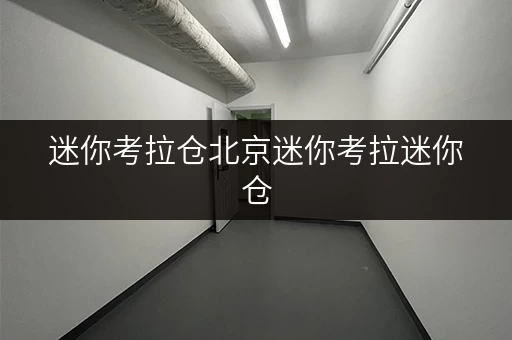 迷你考拉仓北京迷你考拉迷你仓,面积选择全攻略,让你的存储空间更实用 迷你考拉仓北京迷你考拉迷你仓,面积选择全攻略,让你的存储空间更实用