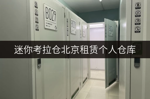 迷你考拉仓北京租赁个人仓库,面积选择攻略与实用案例分享 迷你考拉仓北京租赁个人仓库,面积选择攻略与实用案例分享