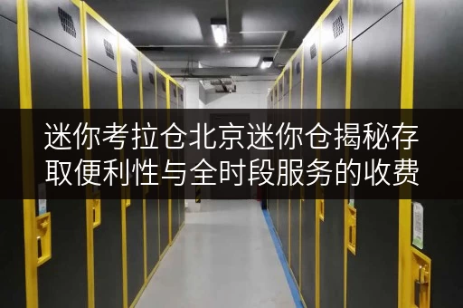 迷你考拉仓北京迷你仓揭秘存取便利性与全时段服务的收费标准 迷你考拉仓北京迷你仓揭秘存取便利性与全时段服务的收费标准