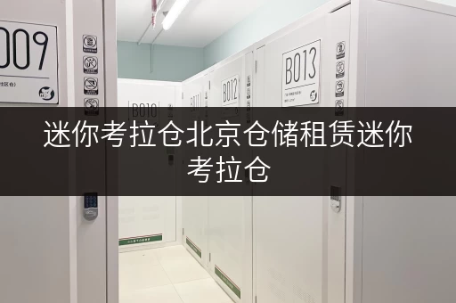 迷你考拉仓北京仓储租赁迷你考拉仓,便捷存取,全时段服务,解锁生活新方式 迷你考拉仓北京仓储租赁迷你考拉仓,便捷存取,全时段服务,解锁生活新方式