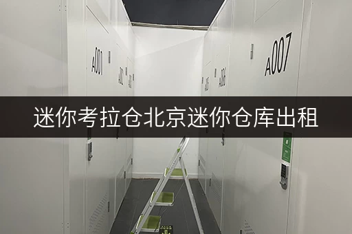 迷你考拉仓北京迷你仓库出租,办公空间释放新思路 迷你考拉仓北京迷你仓库出租,办公空间释放新思路