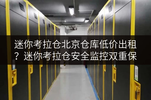 迷你考拉仓北京仓库低价出租?迷你考拉仓安全监控双重保障,呵护您的每一样宝贝! 迷你考拉仓北京仓库低价出租?迷你考拉仓安全监控双重保障,呵护您的每一样宝贝!