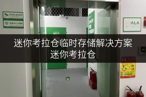 迷你考拉仓临时存储解决方案迷你考拉仓,释放家庭空间,提升生活品质 迷你考拉仓临时存储解决方案迷你考拉仓,释放家庭空间,提升生活品质