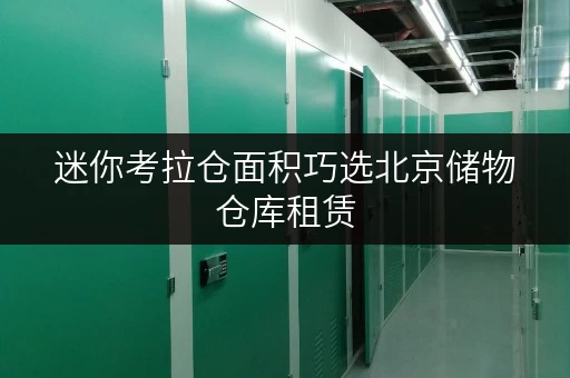 迷你考拉仓面积巧选北京储物仓库租赁,如何找到你的“完美空间”? 迷你考拉仓面积巧选北京储物仓库租赁,如何找到你的“完美空间”?