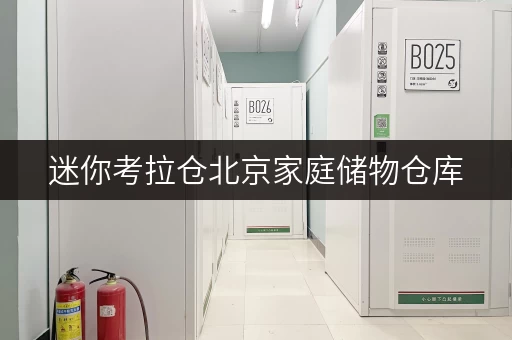 迷你考拉仓北京家庭储物仓库，装修搬家不忧心！