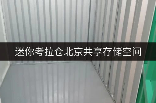 迷你考拉仓北京共享存储空间,安全与温湿监控双重保障,让您的物品安心“住”下来 迷你考拉仓北京共享存储空间,安全与温湿监控双重保障,让您的物品安心“住”下来