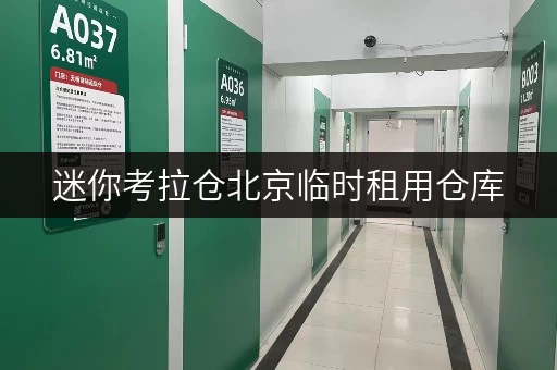 迷你考拉仓北京临时租用仓库,安全与温湿监控,守护您的每一件宝贝 迷你考拉仓北京临时租用仓库,安全与温湿监控,守护您的每一件宝贝