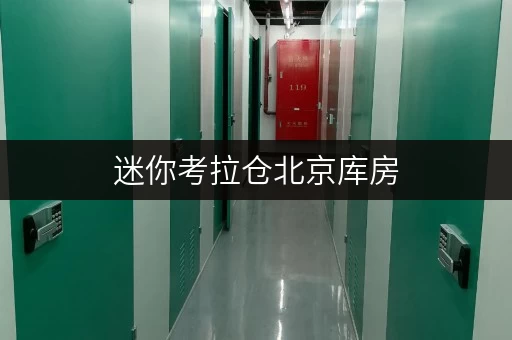 迷你考拉仓北京库房，安全与温湿监控，守护您的每一件宝贝