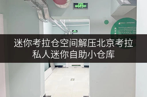 迷你考拉仓空间解压北京考拉私人迷你自助小仓库,解锁家庭空间新境界 迷你考拉仓空间解压北京考拉私人迷你自助小仓库,解锁家庭空间新境界