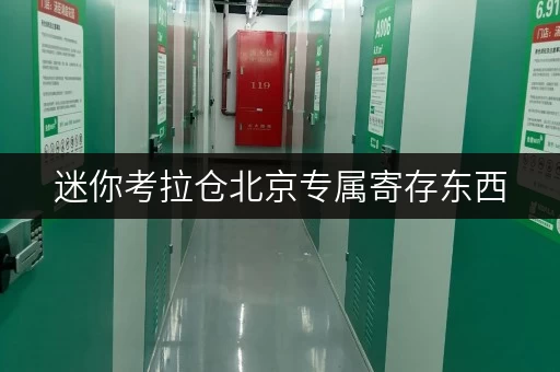 迷你考拉仓北京专属寄存东西,就选迷你考拉仓——安全与温湿监控双重保障,让您的物品安心“栖息” 迷你考拉仓北京专属寄存东西,就选迷你考拉仓——安全与温湿监控双重保障,让您的物品安心“栖息”