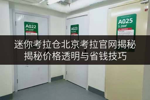 迷你考拉仓北京考拉官网揭秘揭秘价格透明与省钱技巧，告别存储烦恼！