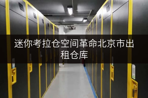 迷你考拉仓空间革命北京市出租仓库,解锁家庭品质生活新境界 迷你考拉仓空间革命北京市出租仓库,解锁家庭品质生活新境界