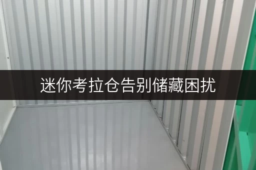 迷你考拉仓告别储藏困扰,迷你考拉仓为您打造省心存储方案 迷你考拉仓告别储藏困扰,迷你考拉仓为您打造省心存储方案