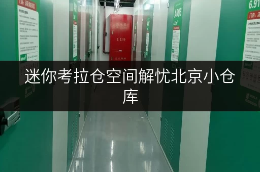 迷你考拉仓空间解忧北京小仓库，面积选择攻略，告别储物烦恼！