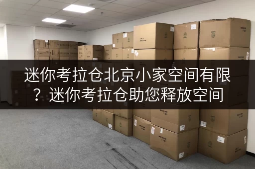 迷你考拉仓北京小家空间有限？迷你考拉仓助您释放空间，提升生活品质