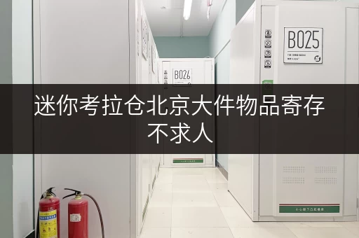 迷你考拉仓北京大件物品寄存不求人,迷你考拉仓为您保驾护航 迷你考拉仓北京大件物品寄存不求人,迷你考拉仓为您保驾护航