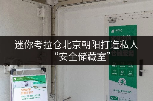 迷你考拉仓北京朝阳打造私人“安全储藏室”,迷你考拉仓带您解锁便捷生活新方式 迷你考拉仓北京朝阳打造私人“安全储藏室”,迷你考拉仓带您解锁便捷生活新方式