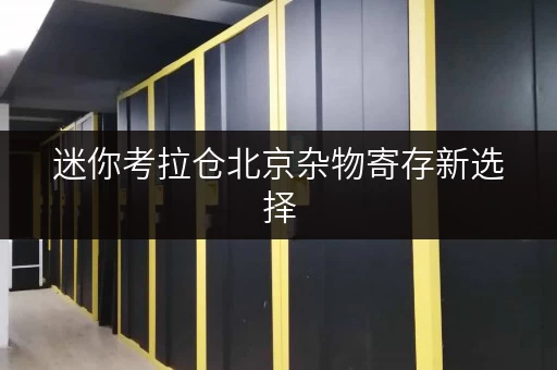 迷你考拉仓北京杂物寄存新选择，迷你考拉仓让家居空间更省心