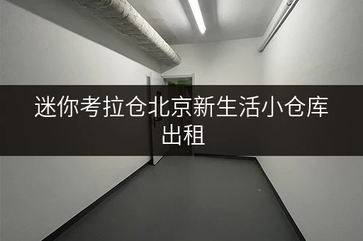 迷你考拉仓北京新生活小仓库出租，释放空间，提升品质生活新境界